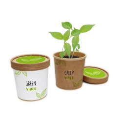 Papierowy Ogródek — zestaw do uprawy / Grow kit papierowy